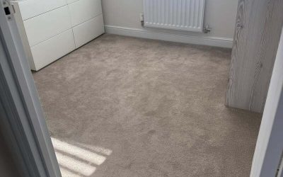 Ideal Frequency for Professional Carpet Cleaning: What You Need to Know