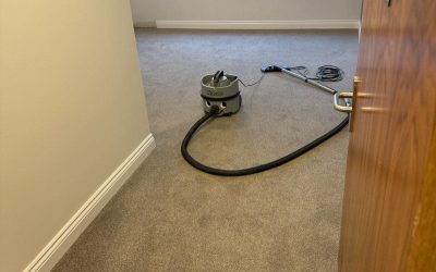 How Can You Maintain Your Carpet Between Professional Cleanings?