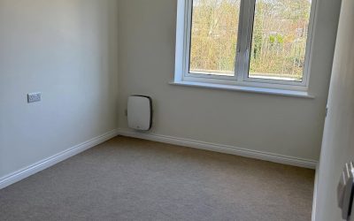 Common Problems Caused by Pets and How Professional Carpet Cleaning Can Fix Them